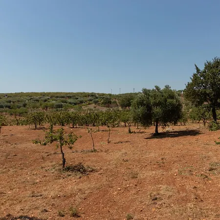 Terre Di Caanthea Apartment Castellana Grotte