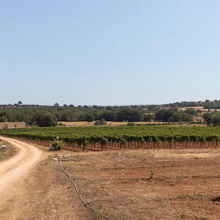 Terre Di Caanthea *